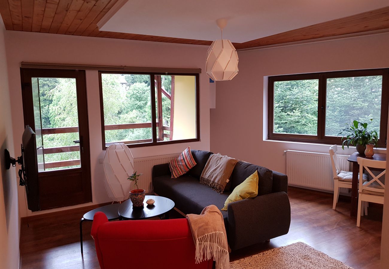 Apartamento em Sinaia - Olala Forest Apartment G1