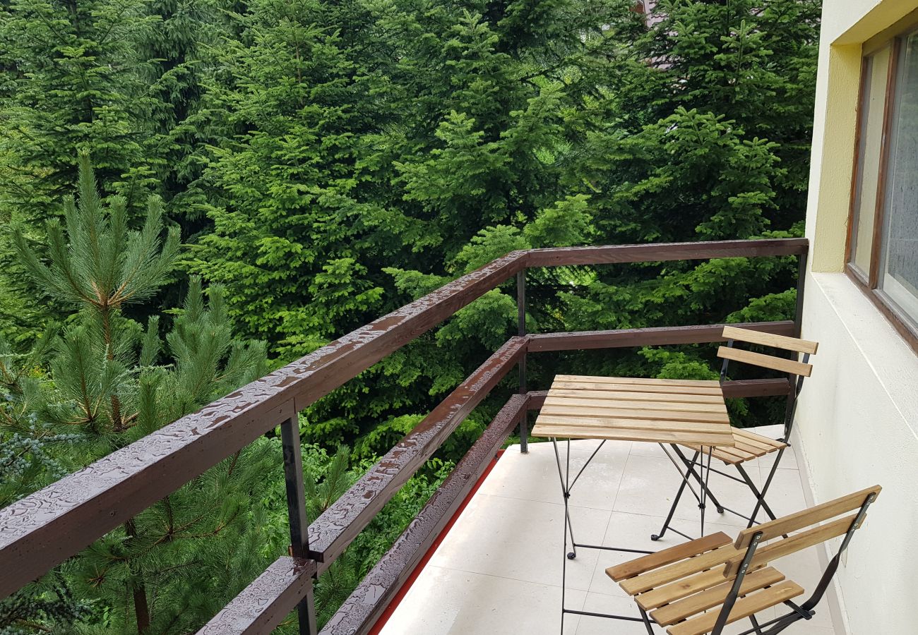 Apartamento em Sinaia - Olala Forest Apartment G1