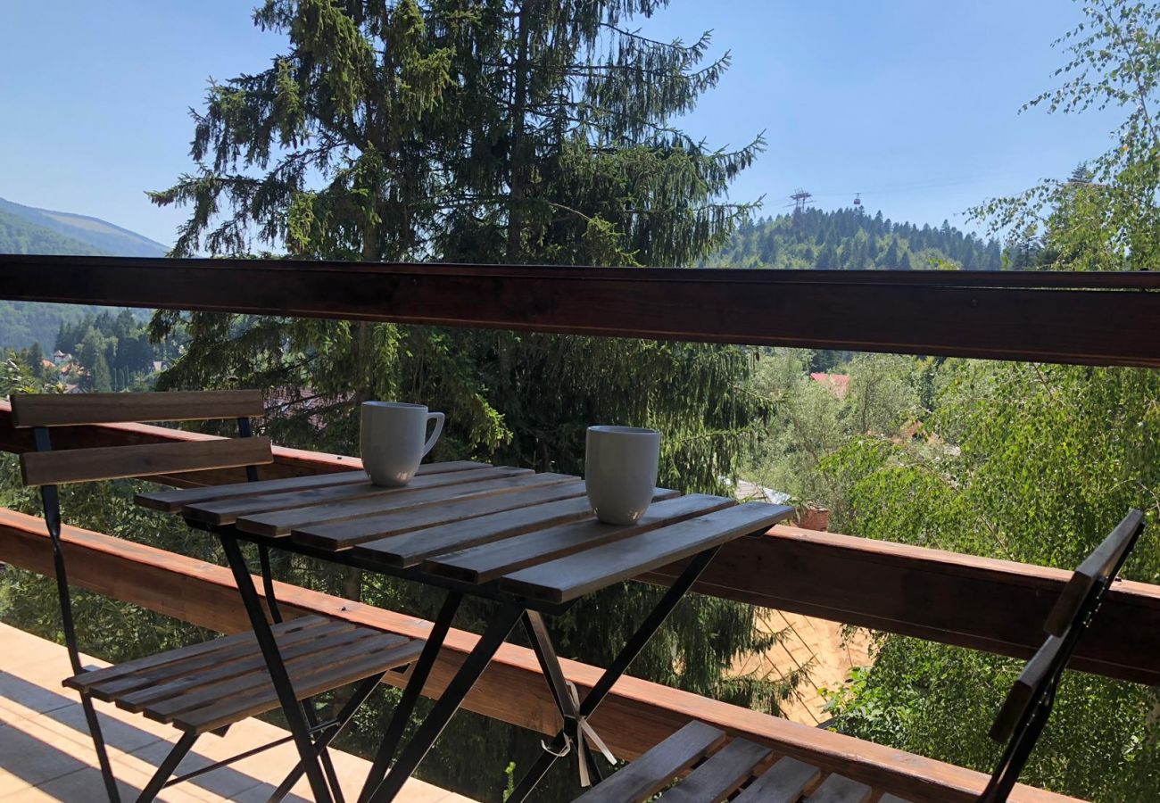 Apartamento em Sinaia - Olala Forest Apartment 1.1