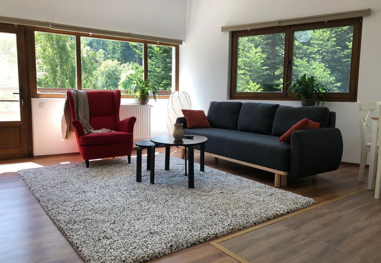 Apartamento em Sinaia - Olala Forest Apartment 1.1