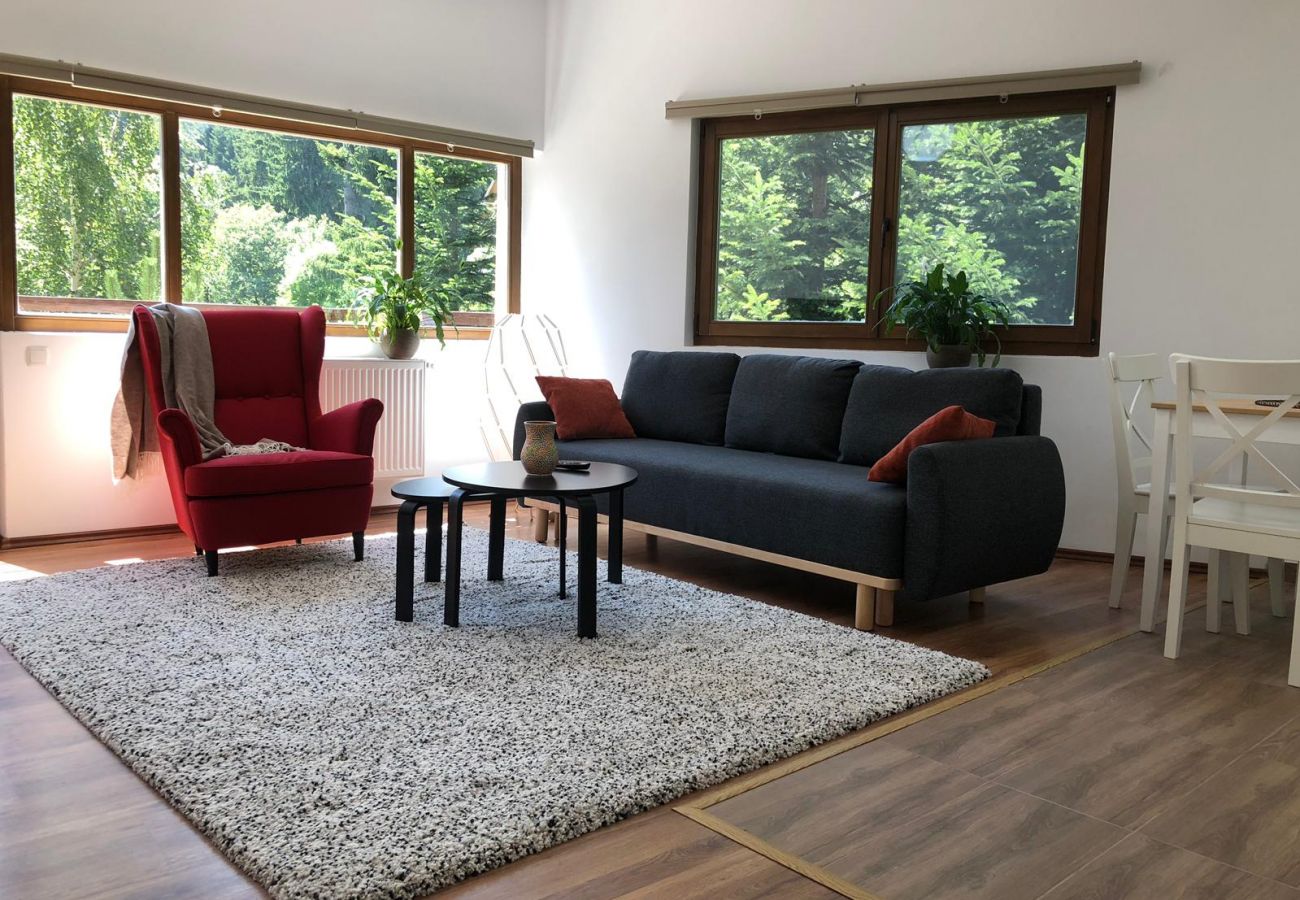 Apartamento em Sinaia - Olala Forest Apartment 1.1