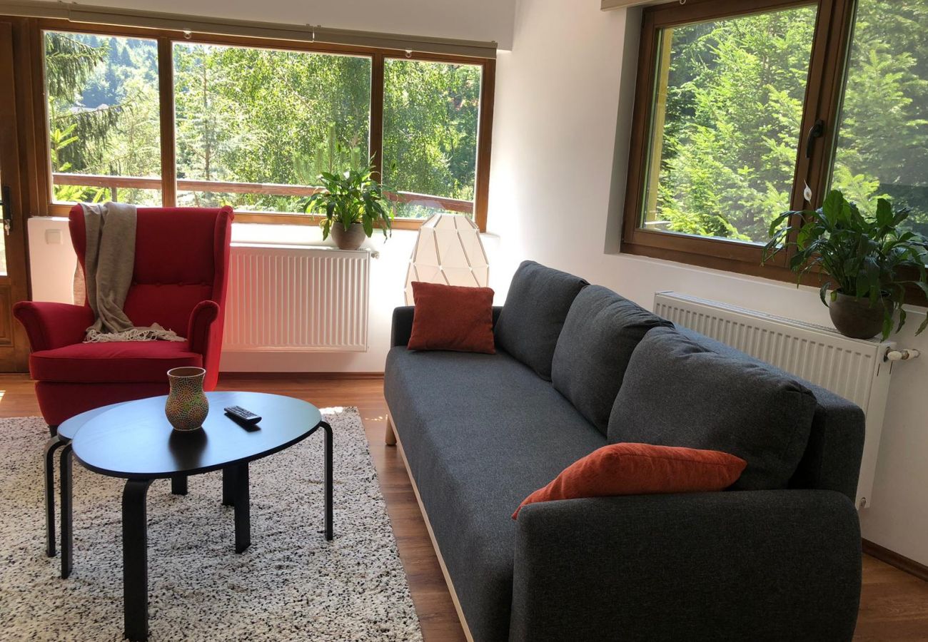 Apartamento em Sinaia - Olala Forest Apartment 1.1