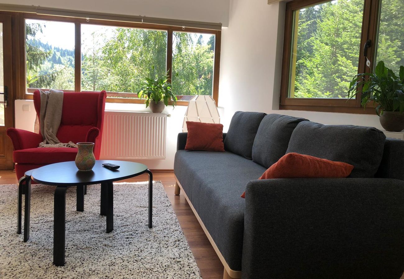 Apartamento em Sinaia - Olala Forest Apartment 1.1